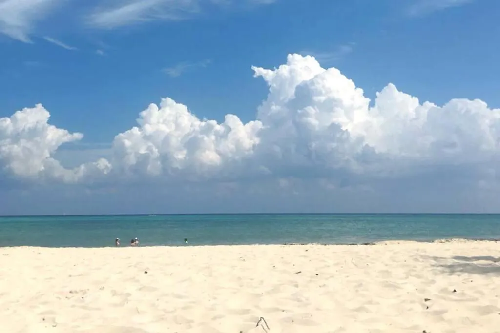Playa Del Carmen Downtown Studio With Rooftop Pool - Walk To 5Th Ave & The Beach Mexiko