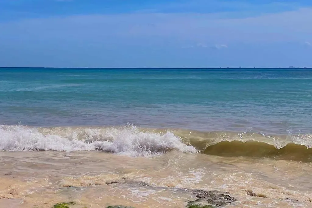 Lägenhet Playa Del Carmen Downtown Studio With Rooftop Pool - Walk To 5Th Ave & The Beach