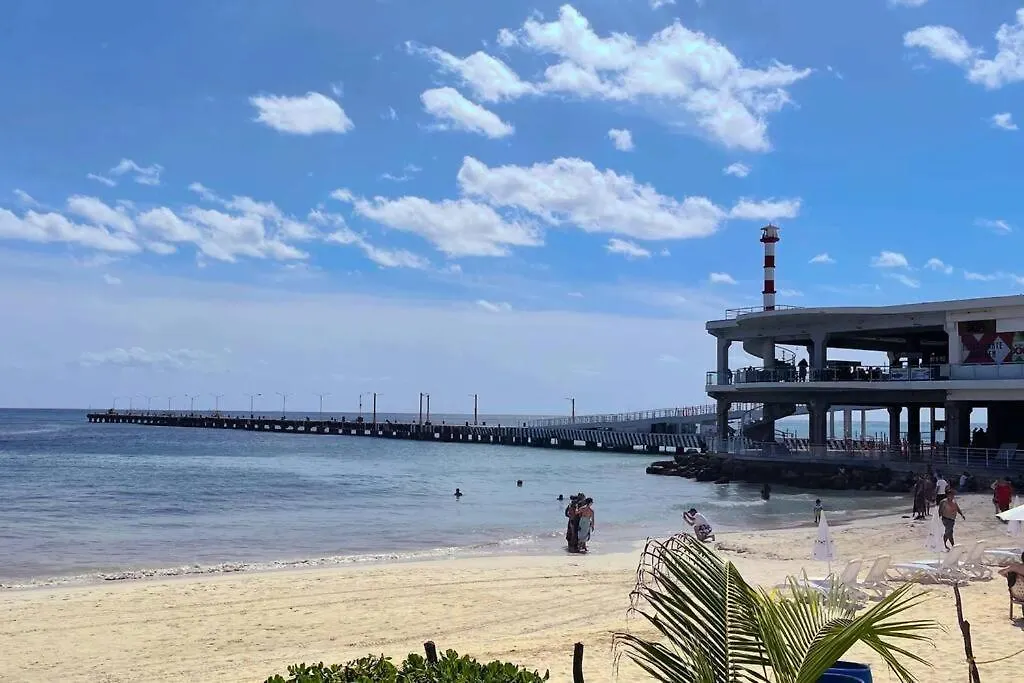Playa Del Carmen Downtown Studio With Rooftop Pool - Walk To 5Th Ave & The Beach Mexiko