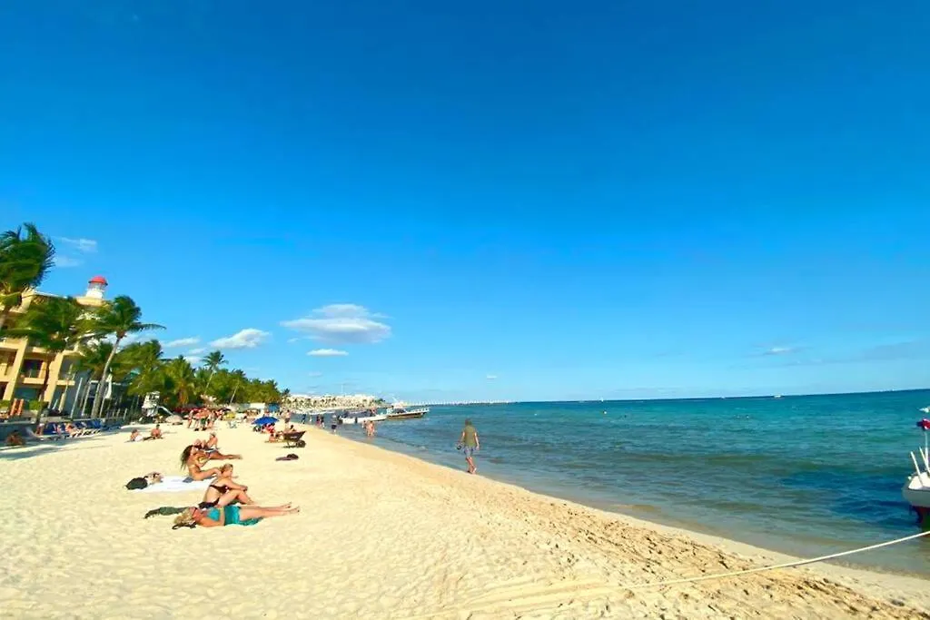 Playa Del Carmen Downtown Studio With Rooftop Pool - Walk To 5Th Ave & The Beach Lägenhet Playa del Carmen