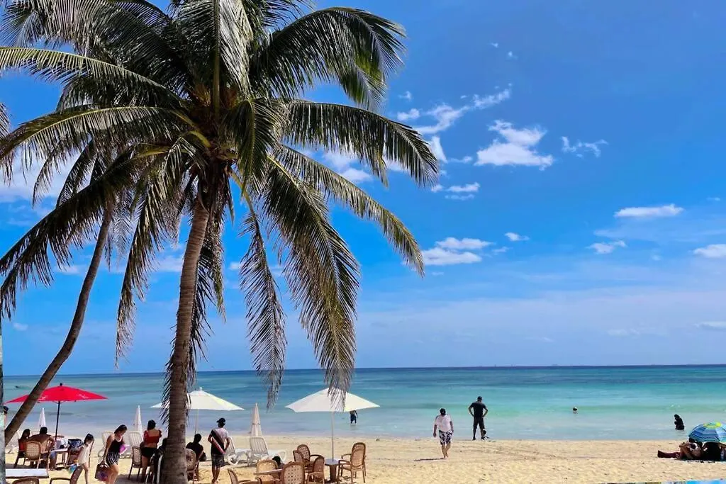 Playa Del Carmen Downtown Studio With Rooftop Pool - Walk To 5Th Ave & The Beach Lägenhet Playa del Carmen