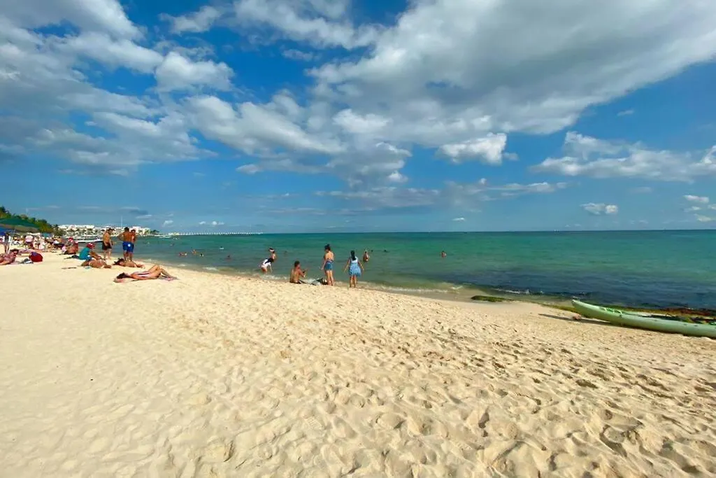 Lejlighed Playa Del Carmen Downtown Studio With Rooftop Pool - Walk To 5Th Ave & The Beach