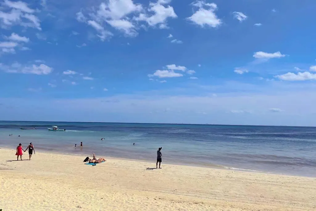 Playa Del Carmen Downtown Studio With Rooftop Pool - Walk To 5Th Ave & The Beach Playa del Carmen